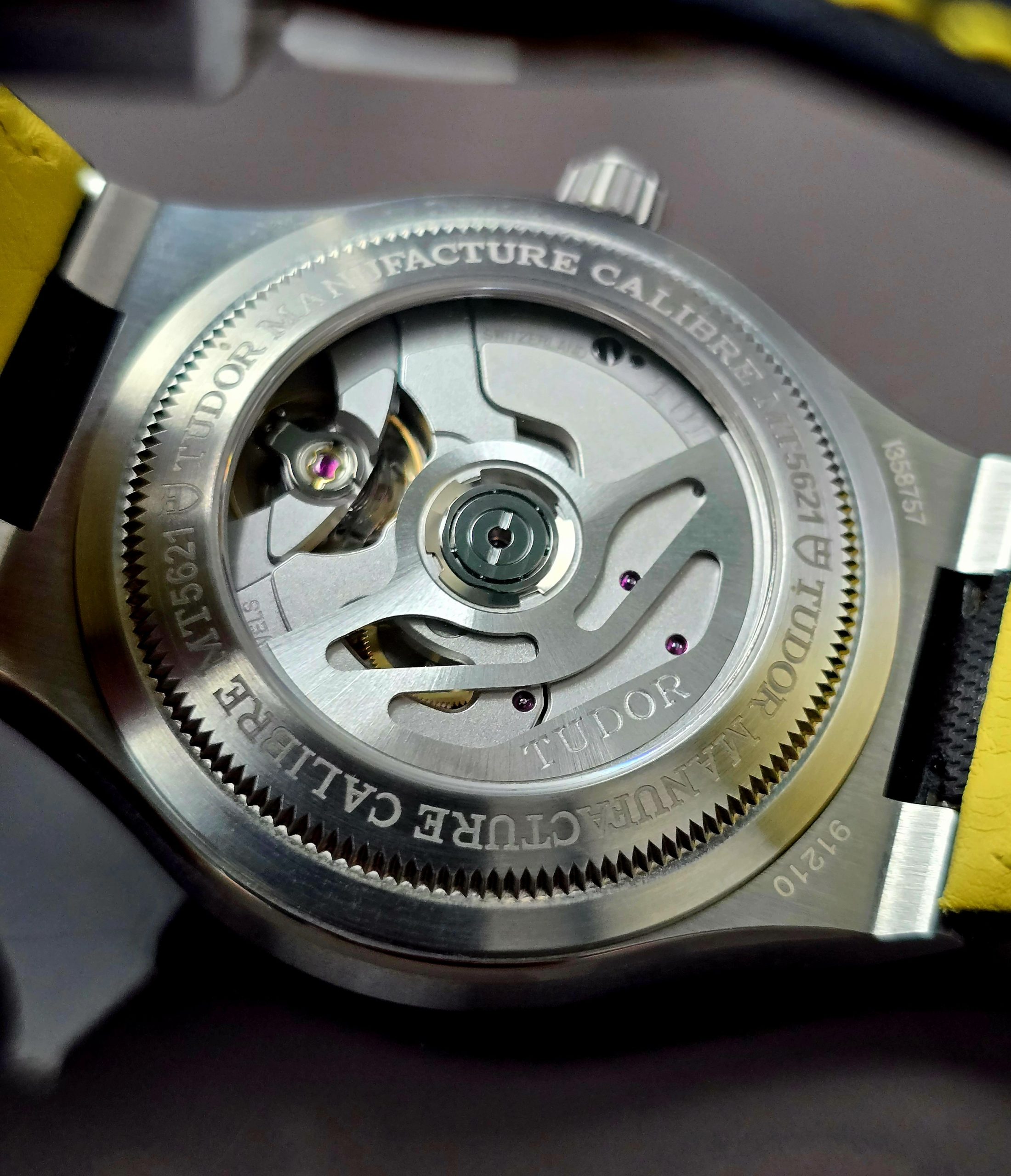 Tudor North Flag - Image 9