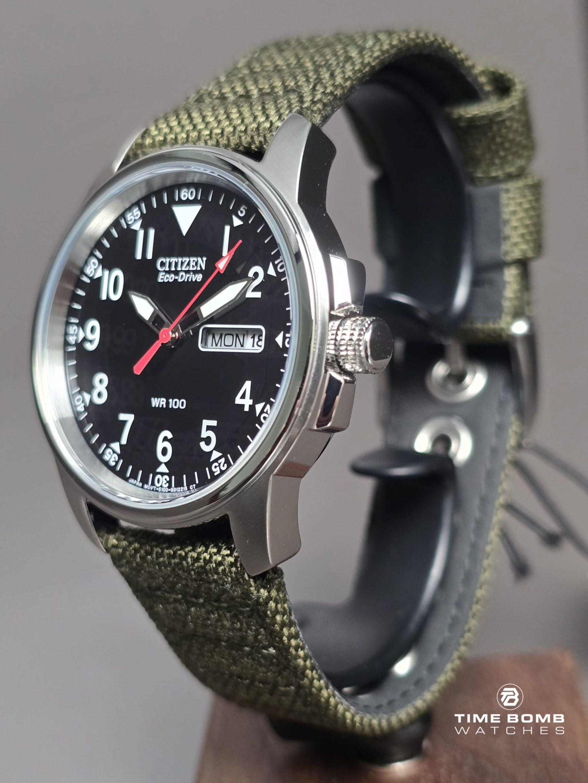 Citizen Garrison - Image 2